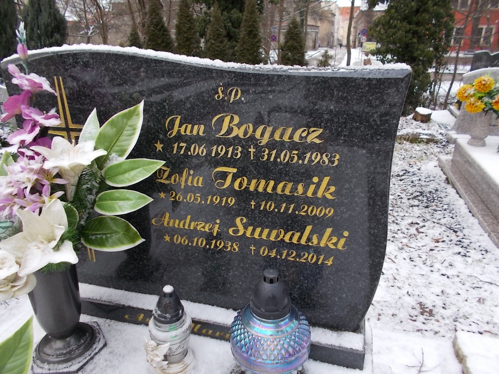 Zofia Tomasik  1919 Lwówek Śląski - Grobonet - Wyszukiwarka osób pochowanych