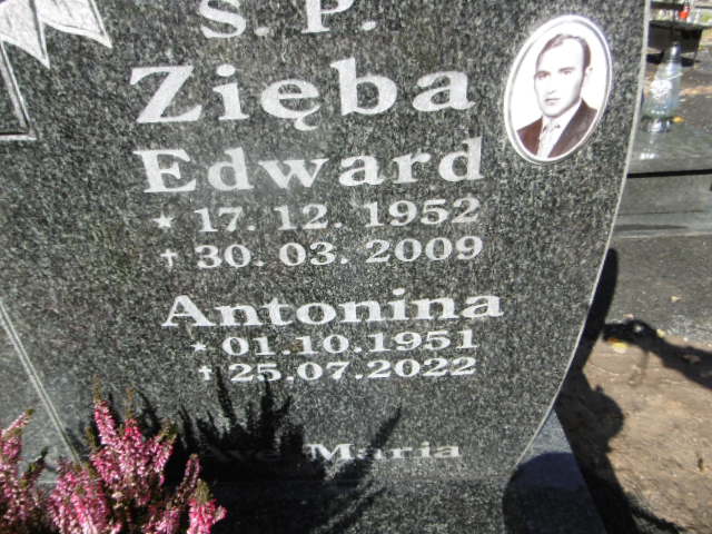 Edward Zięba 1952 Lwówek Śląski - Grobonet - Wyszukiwarka osób pochowanych