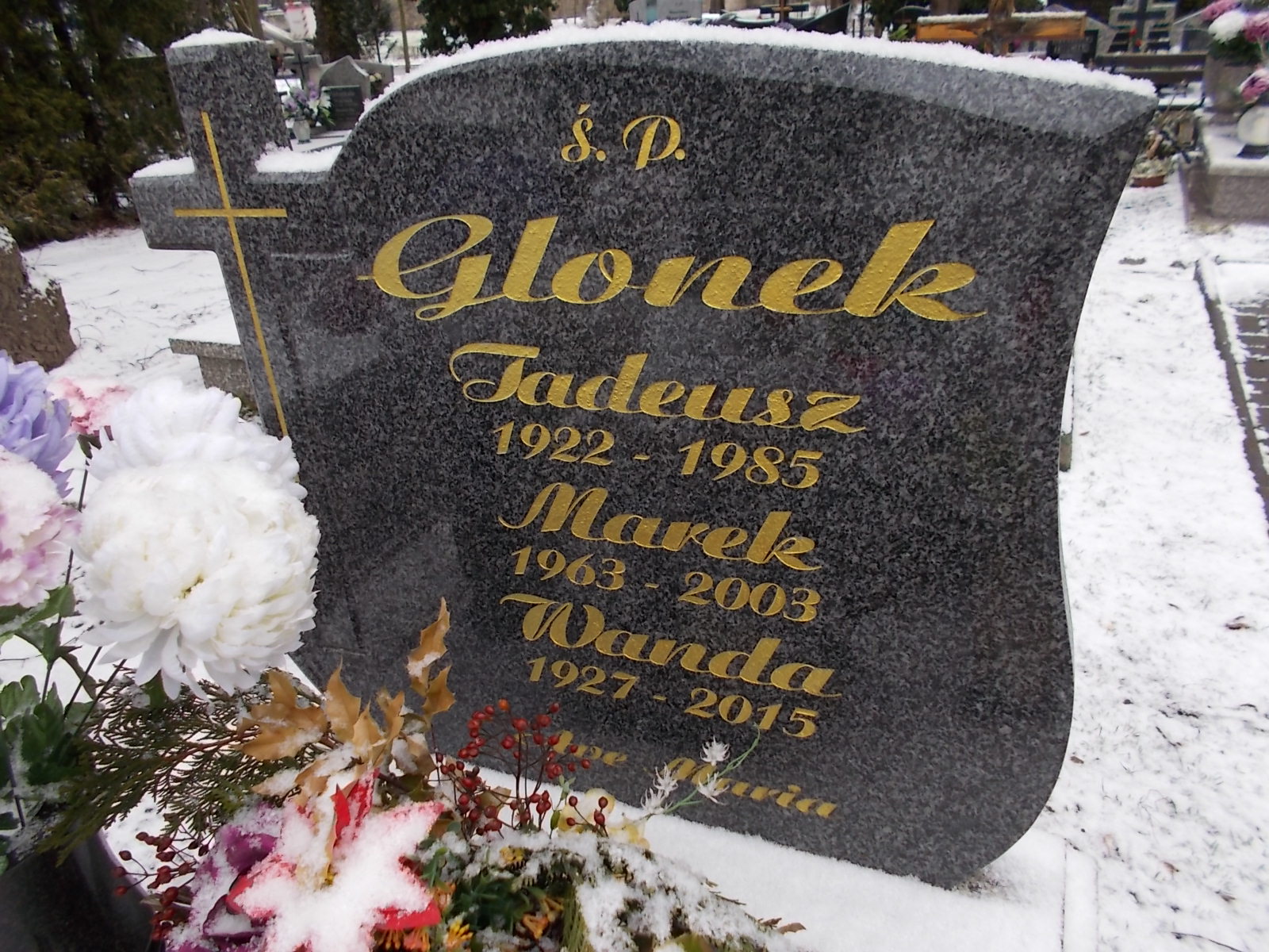 Agnieszka (Wanda) Glonek 1927 Lwówek Śląski - Grobonet - Wyszukiwarka osób pochowanych
