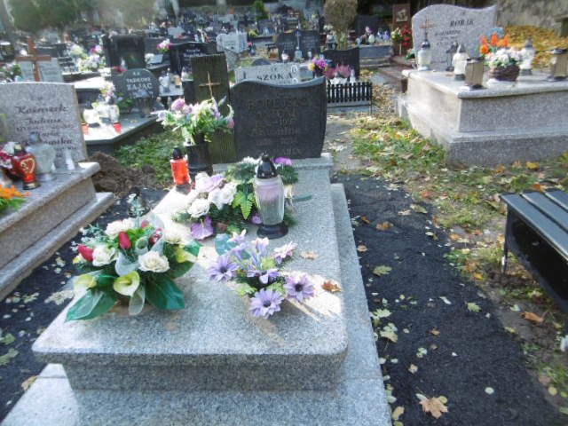 Grób Antonina Borejszo