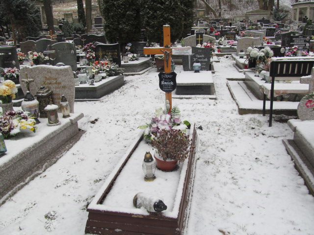 Grób Tadeusz Rosiak