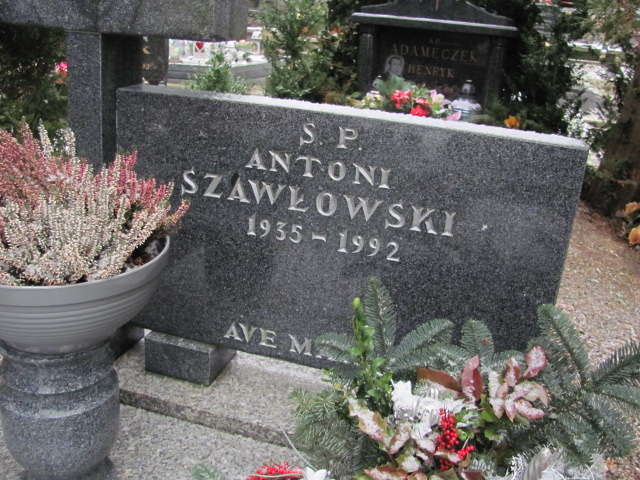 Antoni Szawłowski 1935 Lwówek Śląski - Grobonet - Wyszukiwarka osób pochowanych