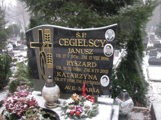 Ryszard Cegielski 1936 Lwówek Śląski - Grobonet - Wyszukiwarka osób pochowanych