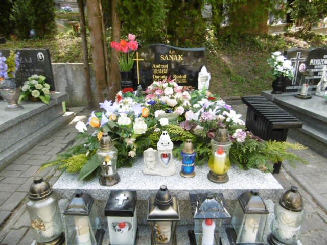 Grób Danuta  Sanak