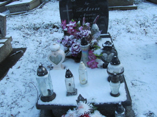 Grób Józef Zdun