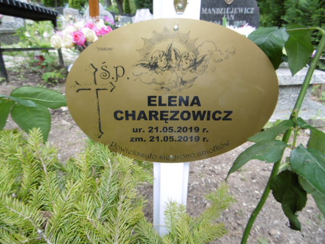 Noworodek martwo urodzony Wiącek-Charęzowicz 2019 Lwówek Śląski - Grobonet - Wyszukiwarka osób pochowanych