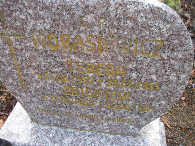 Zbigniew Morasiewicz 1955 Lwówek Śląski - Grobonet - Wyszukiwarka osób pochowanych