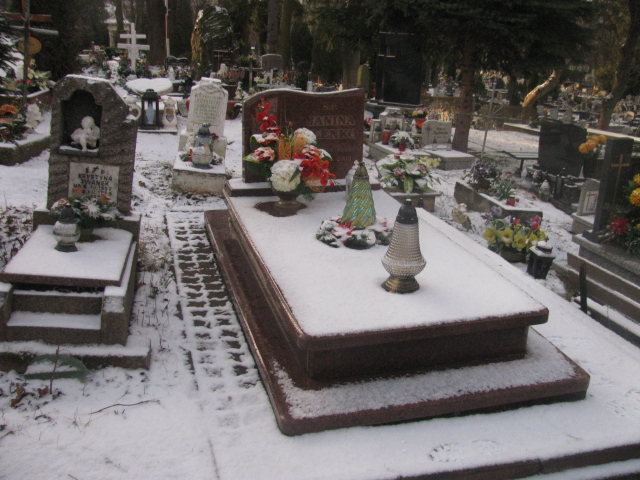 Grób Janina Plenko