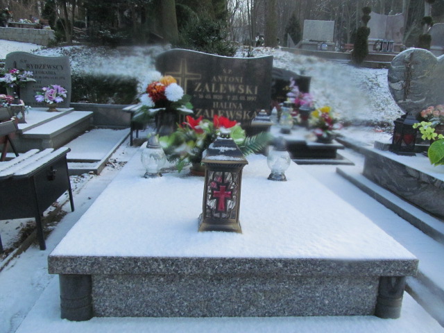 Grób Halina Zalewska