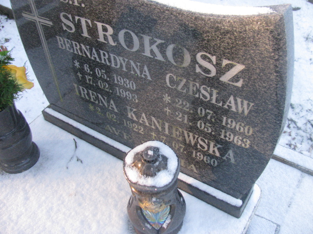 Czesław Strokosz 1960 Lwówek Śląski - Grobonet - Wyszukiwarka osób pochowanych