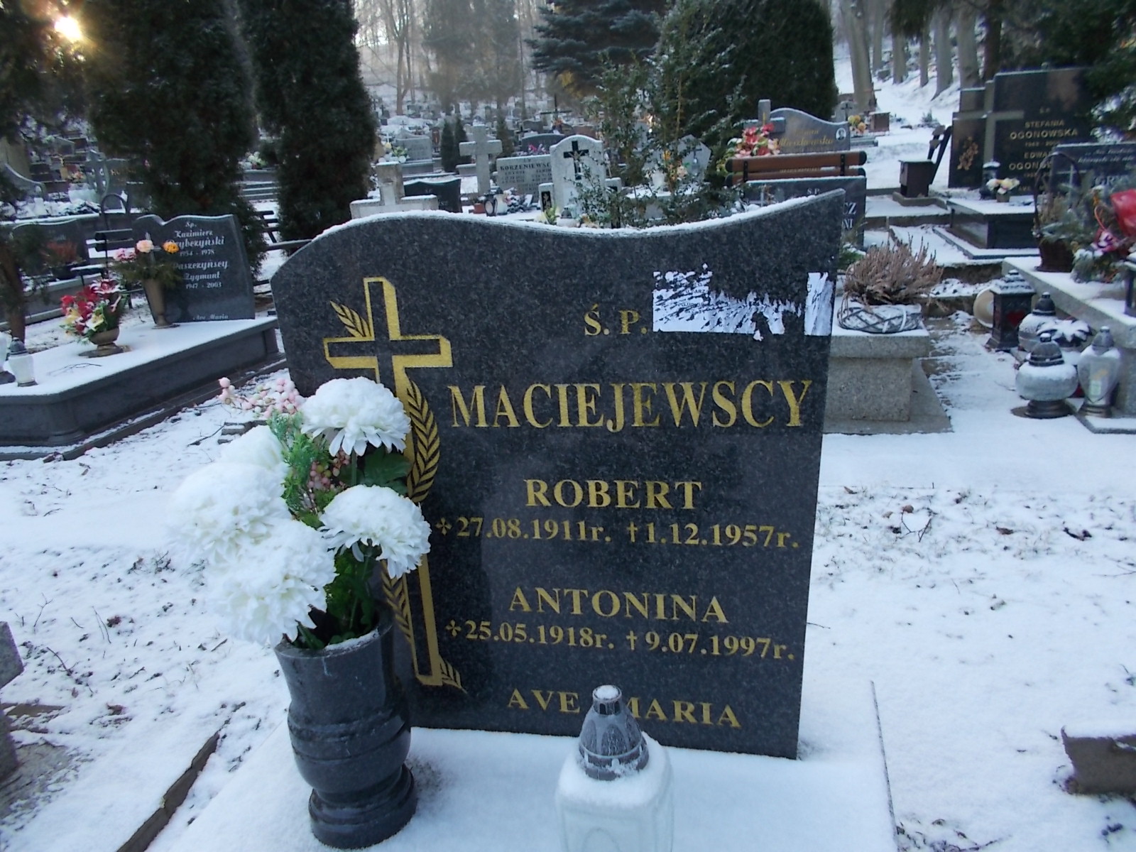 Antonina Maciejewska 1918 Lwówek Śląski - Grobonet - Wyszukiwarka osób pochowanych