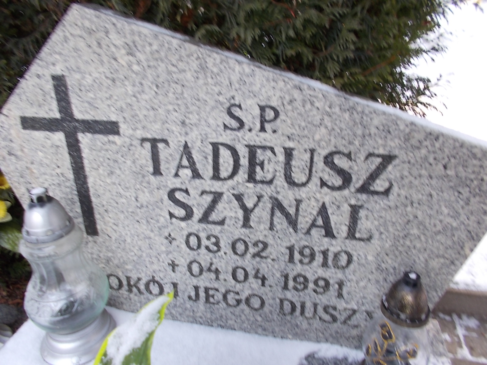 Tadeusz Szynal 1910 Lwówek Śląski - Grobonet - Wyszukiwarka osób pochowanych