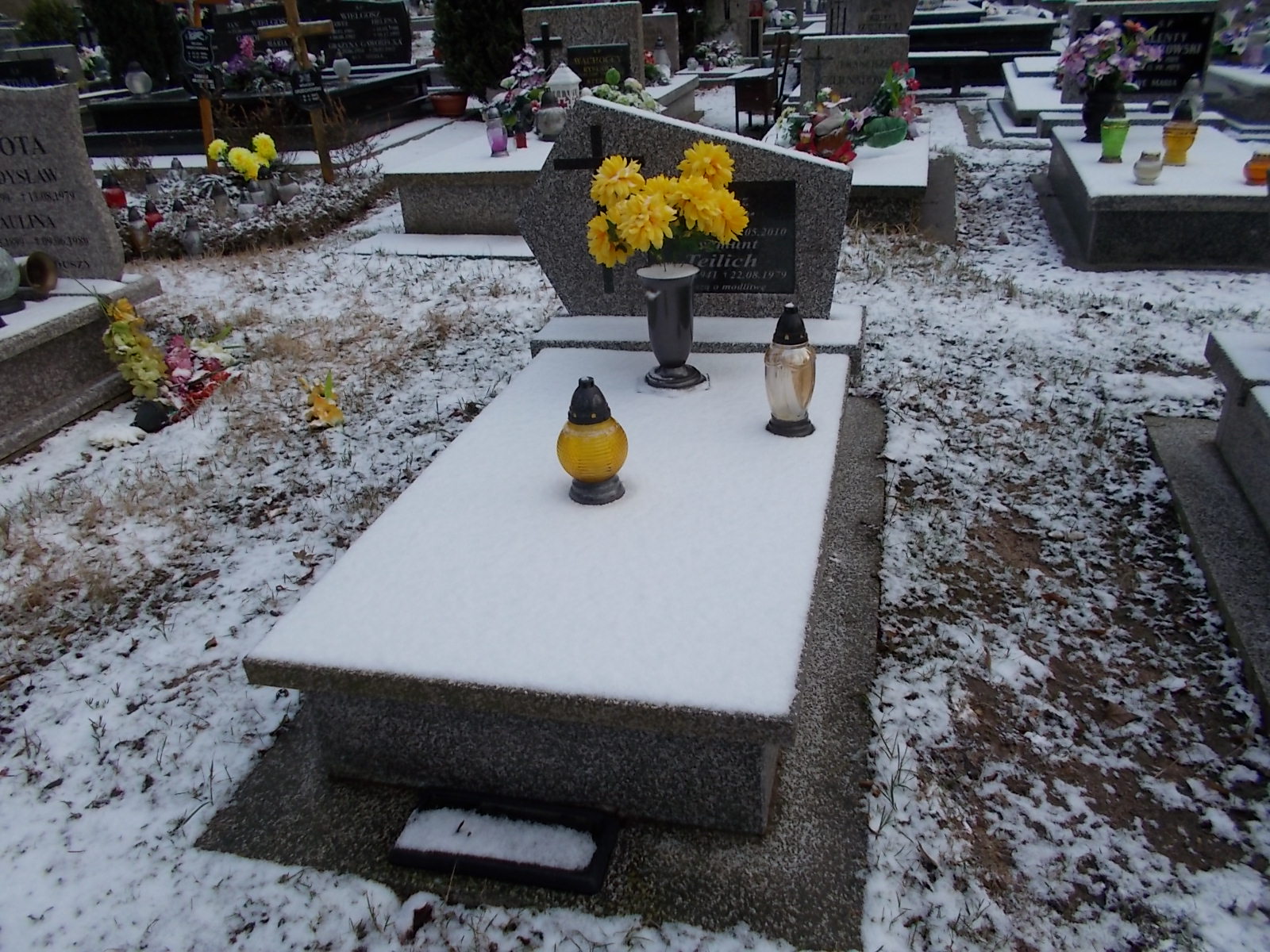 Grób Zygmunt Teilich