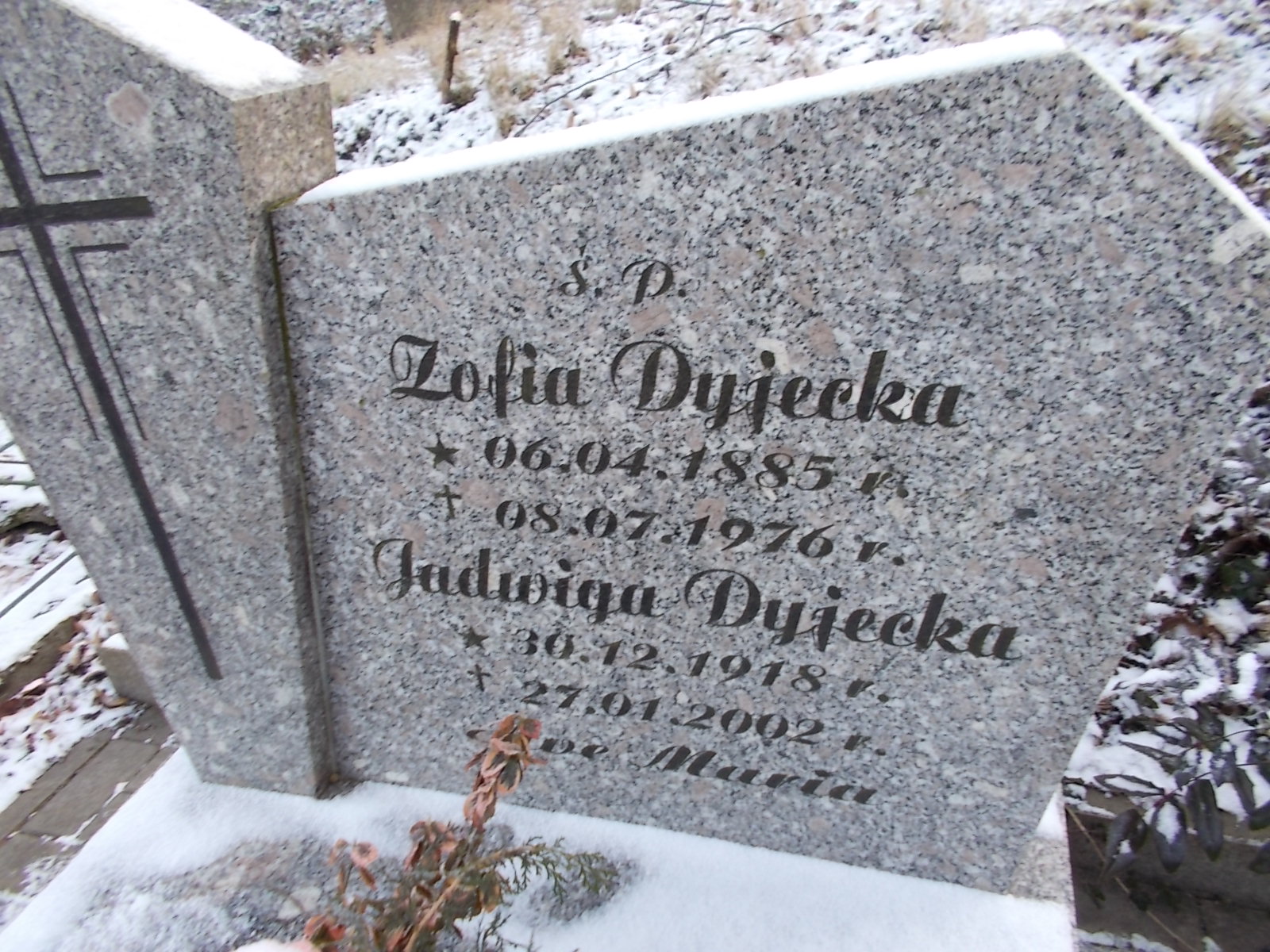 Zofia Dyjecka 1885 Lwówek Śląski - Grobonet - Wyszukiwarka osób pochowanych