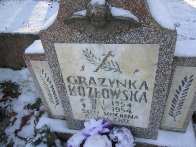 Grażyna Kozłowska 1954 Lwówek Śląski - Grobonet - Wyszukiwarka osób pochowanych