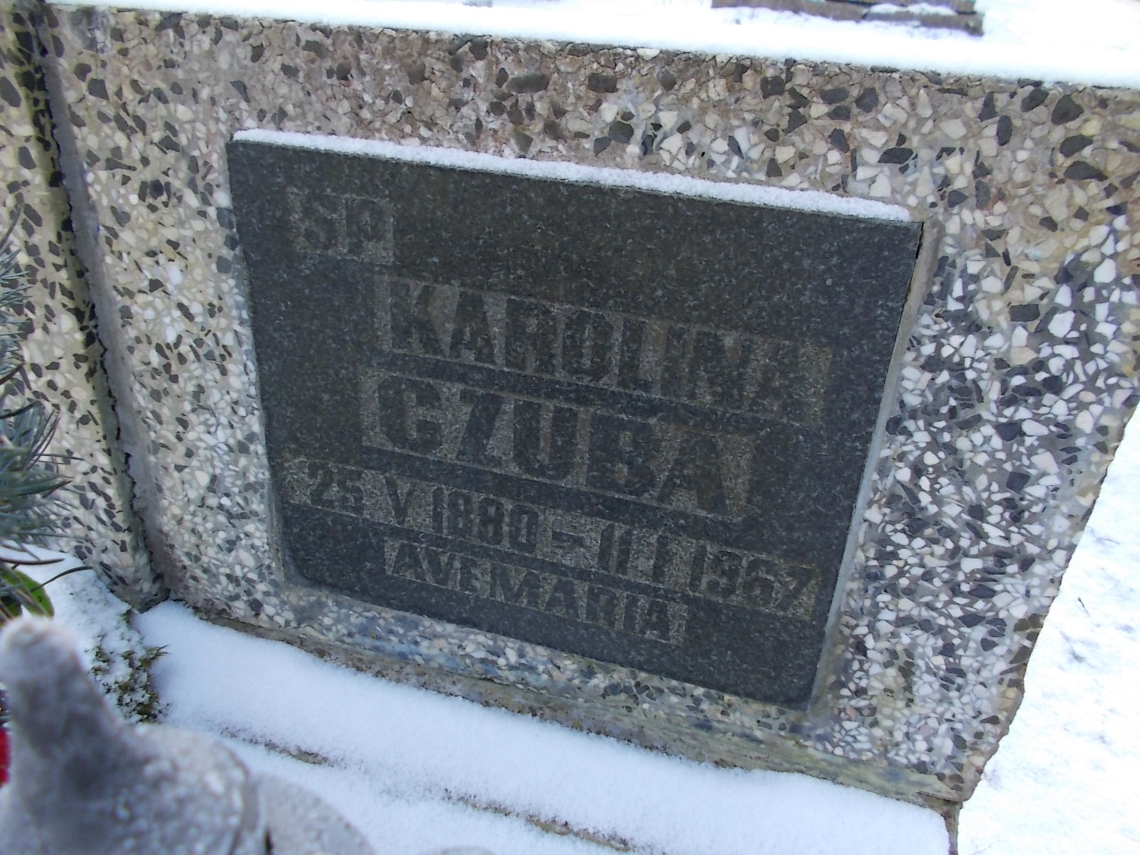 Karolina Czuba 1880 Lwówek Śląski - Grobonet - Wyszukiwarka osób pochowanych