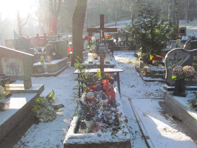 Grób Edward Czesny